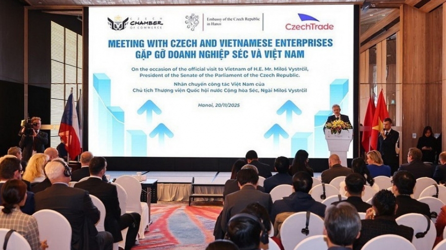 Czech Senate President urges stronger business cooperation with Vietnam